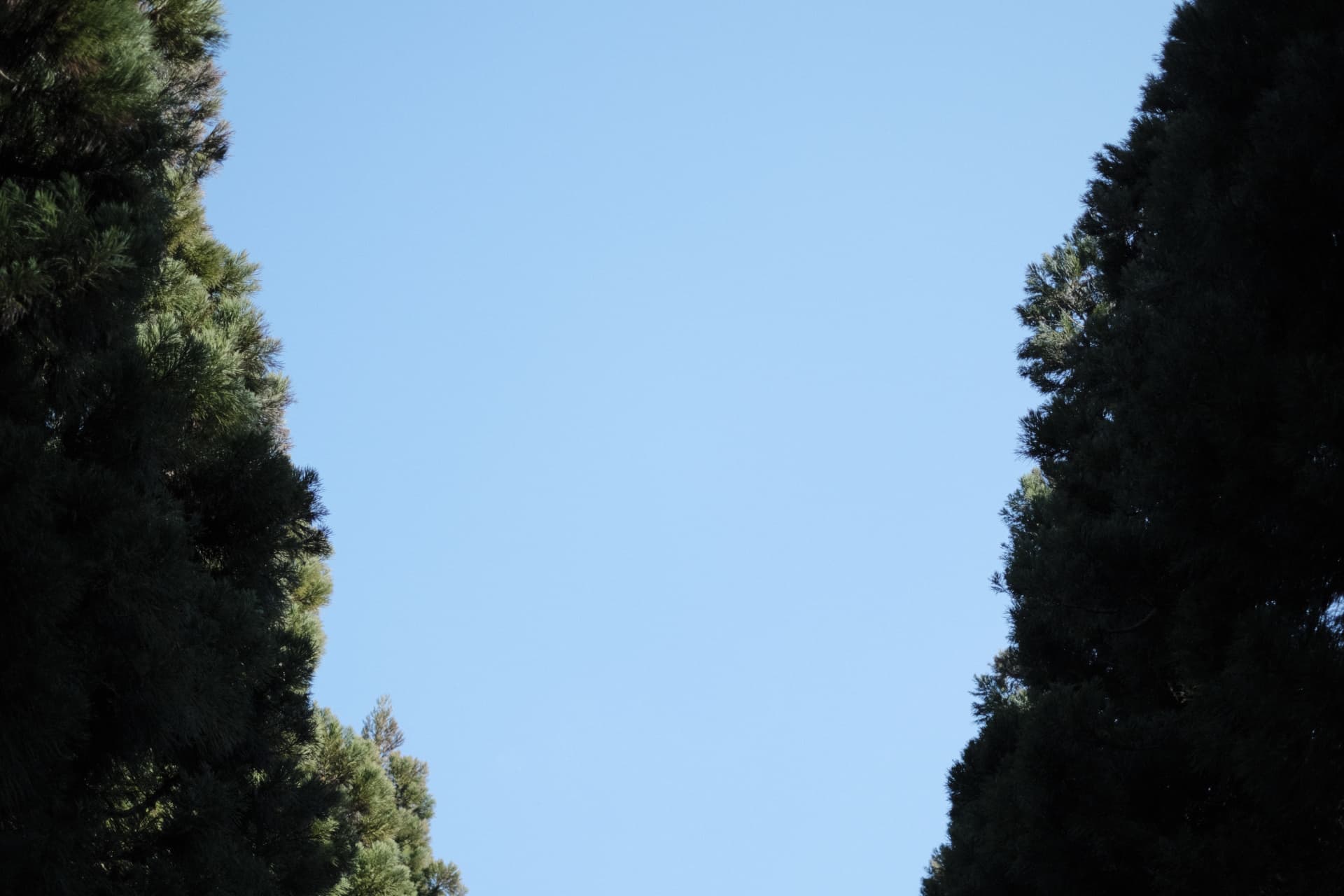 dscf0405.jpg